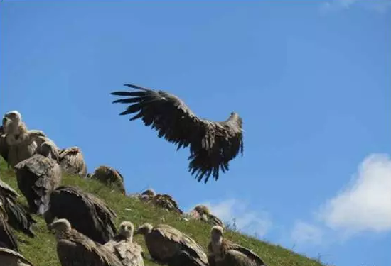 1472808267903291.png QQ截图20160902172049.png